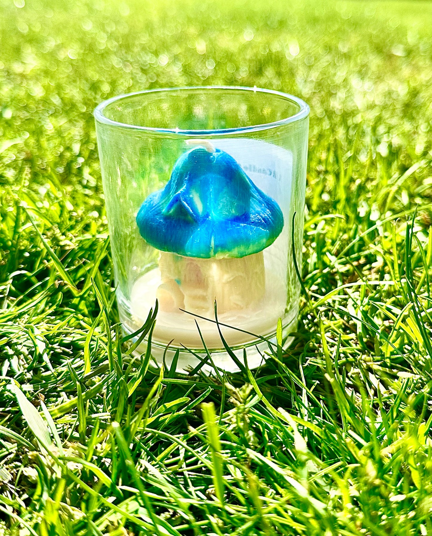 Mushroom Candles - classic 5 Oz