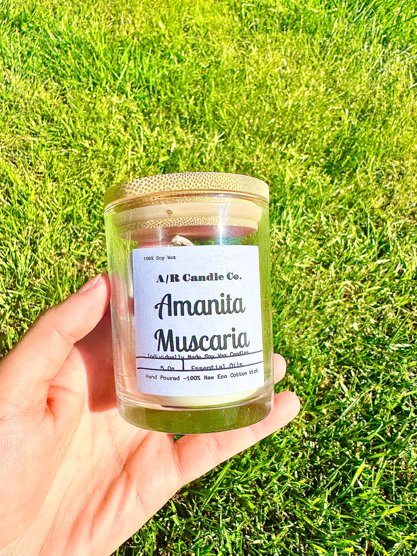 Mushroom Candles - classic 5 Oz