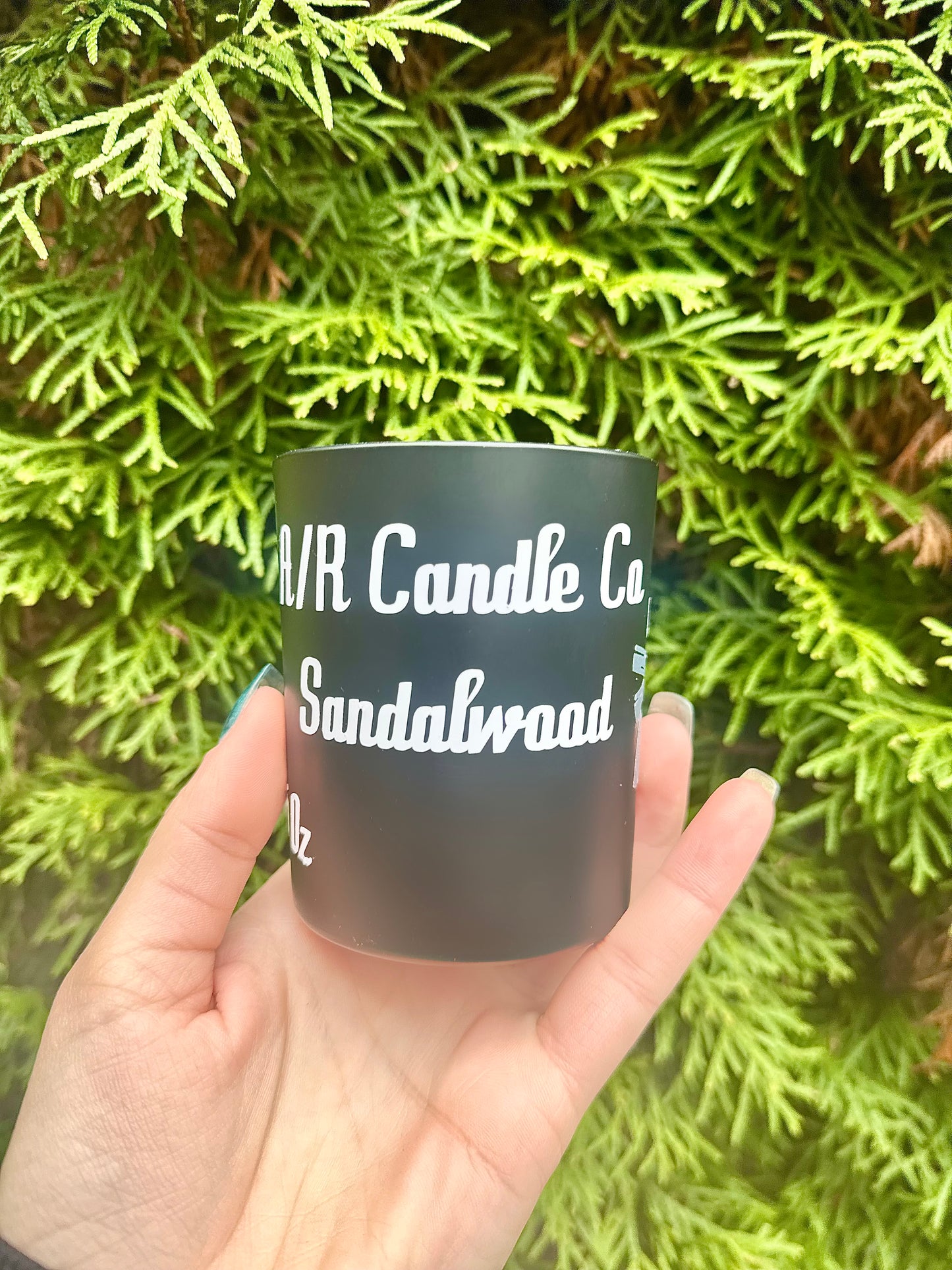 Sandalwood Candle (classic) -Classic 5 oz