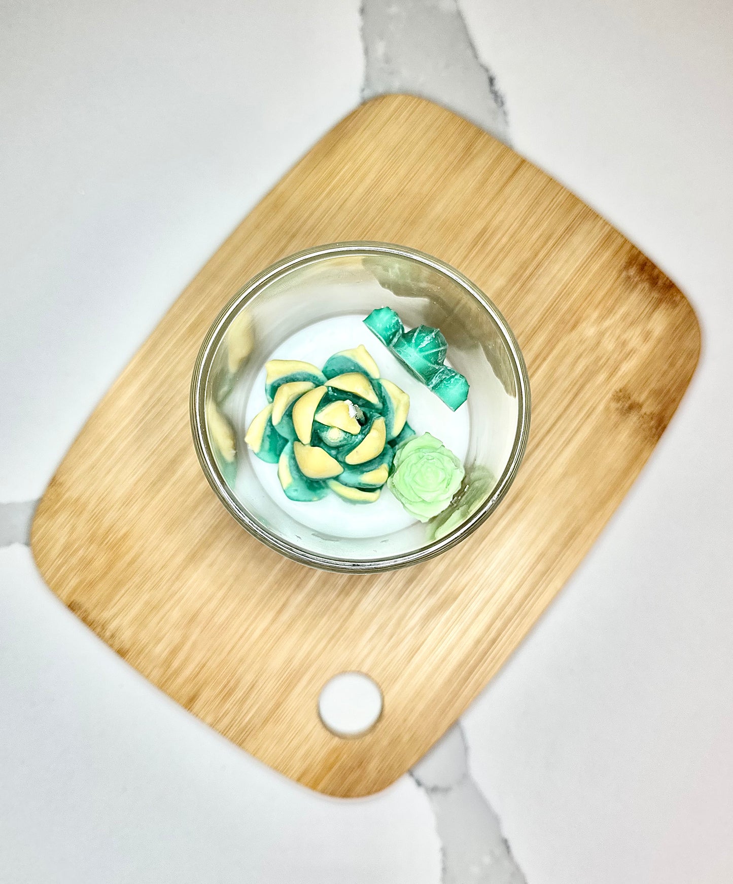 Cactus Blossom Candle - classic 5 Oz