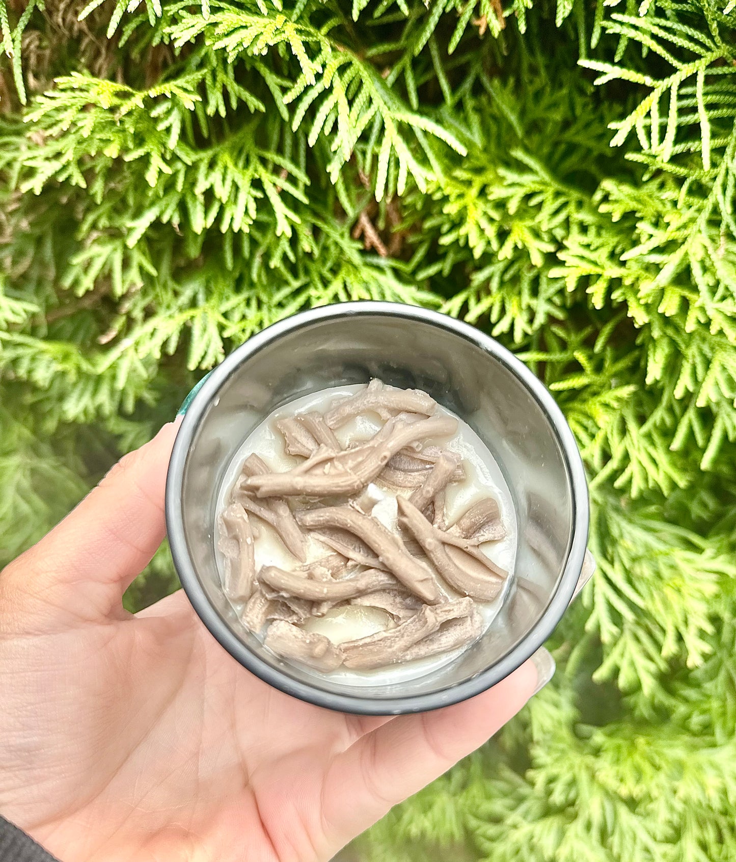 Sandalwood Candle (classic) -Classic 5 oz