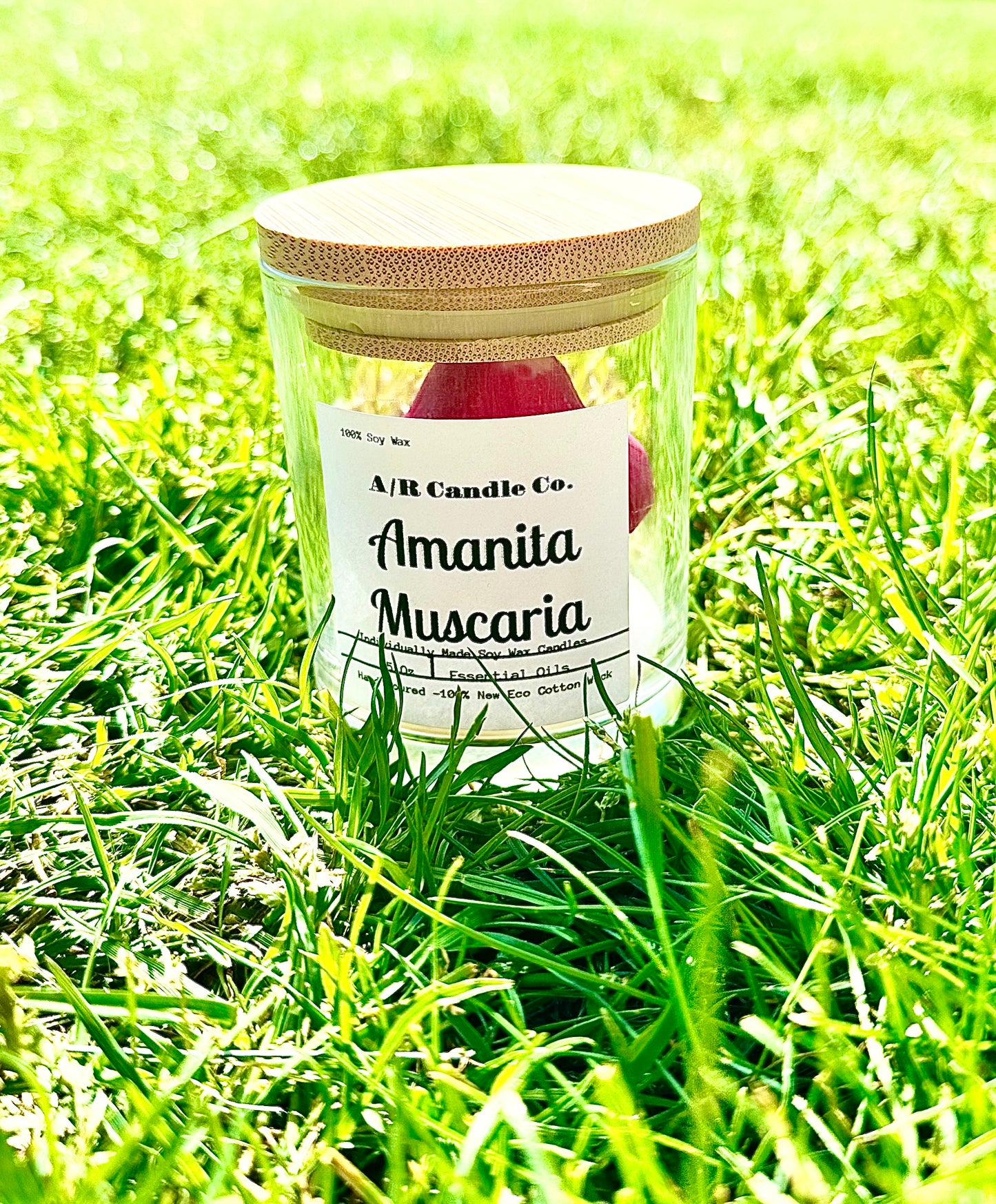 Mushroom Candles - classic 5 Oz